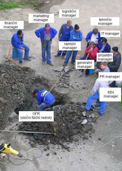 Pracownicy.jpg