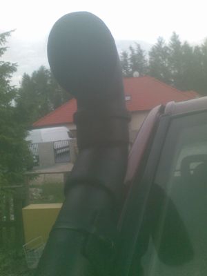 Foto(201)_male.jpg