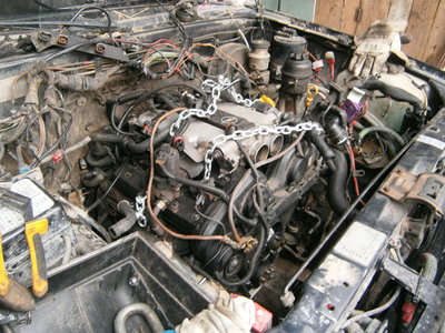 PB030026.JPG (3.66 MiB) Przeglądane 3628 razy PB030026.JPG