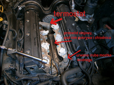 PB070056 copy.jpg (1.35 MiB) Przeglądane 4214 razy PB070056 copy.jpg