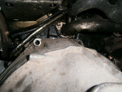 PB080058.JPG (1.32 MiB) Przeglądane 4195 razy PB080058.JPG