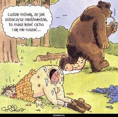 Spotkanie_z_niedzwiedziem.jpg
