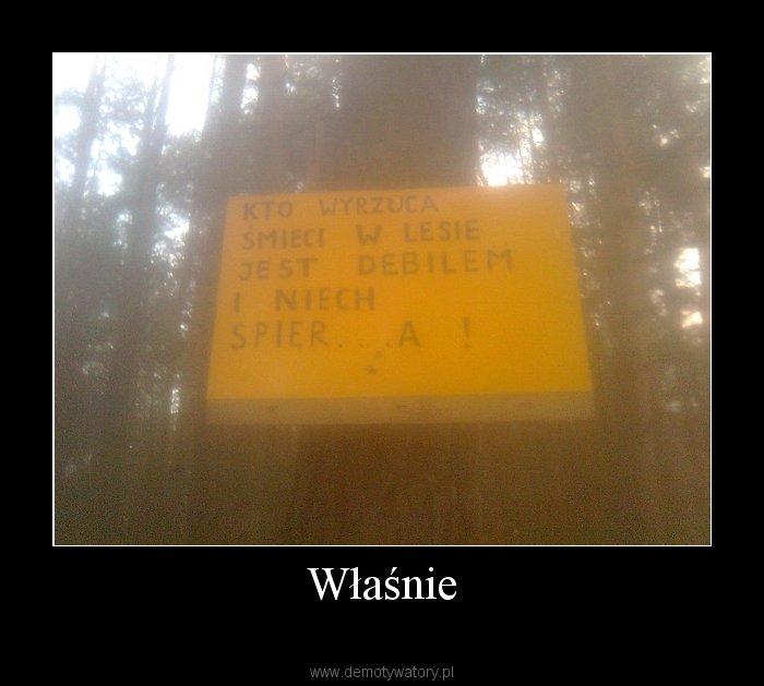 1271884416_by_tbez.jpg