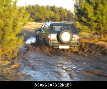 DSCN1925