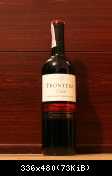 cabernet sauvignon frontera